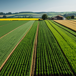 Prompt 1: Agricultural Resilience through Climate Data**